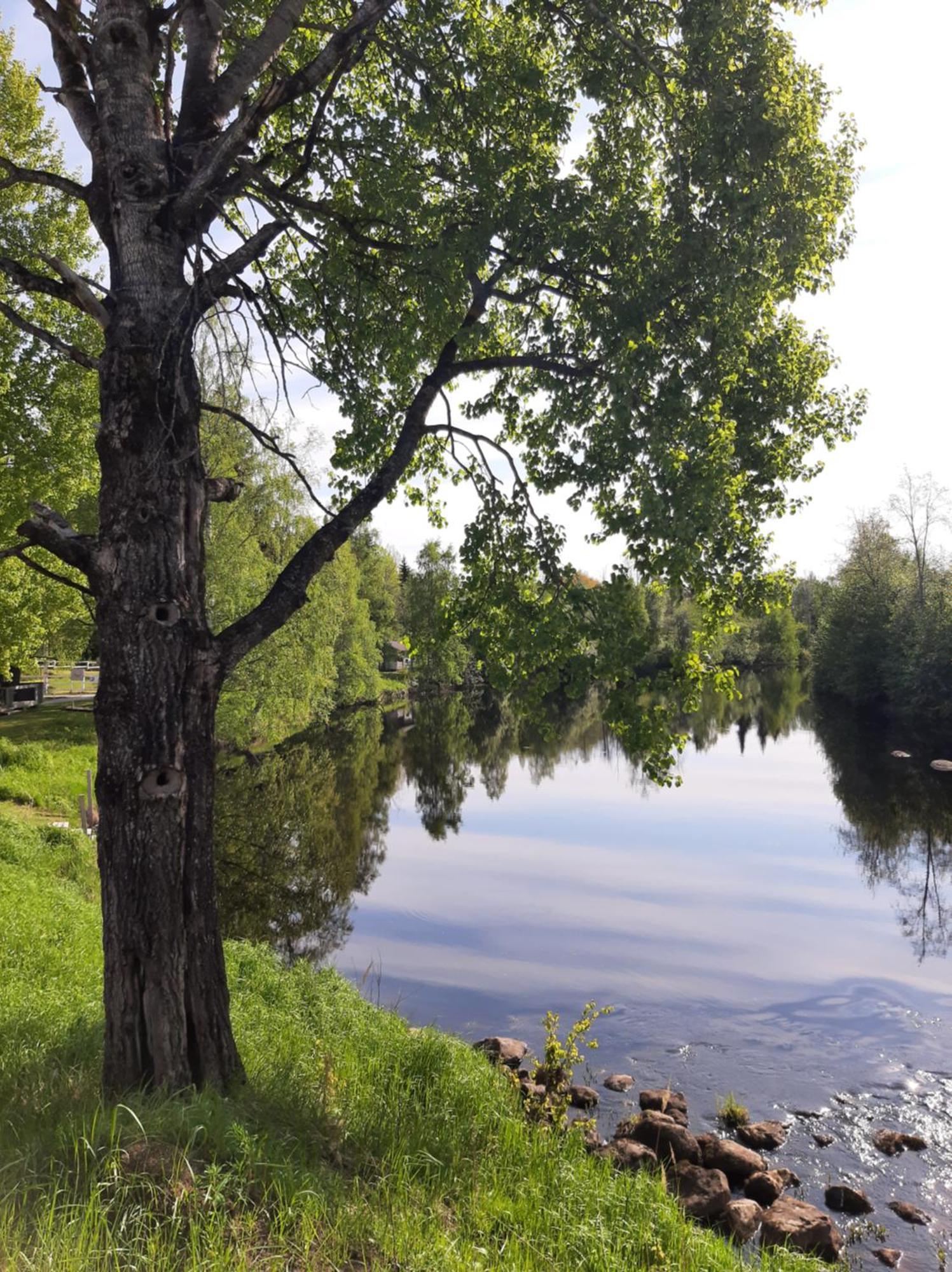 Huhtaniemen Moekkikylae Hotel Veteli Buitenkant foto